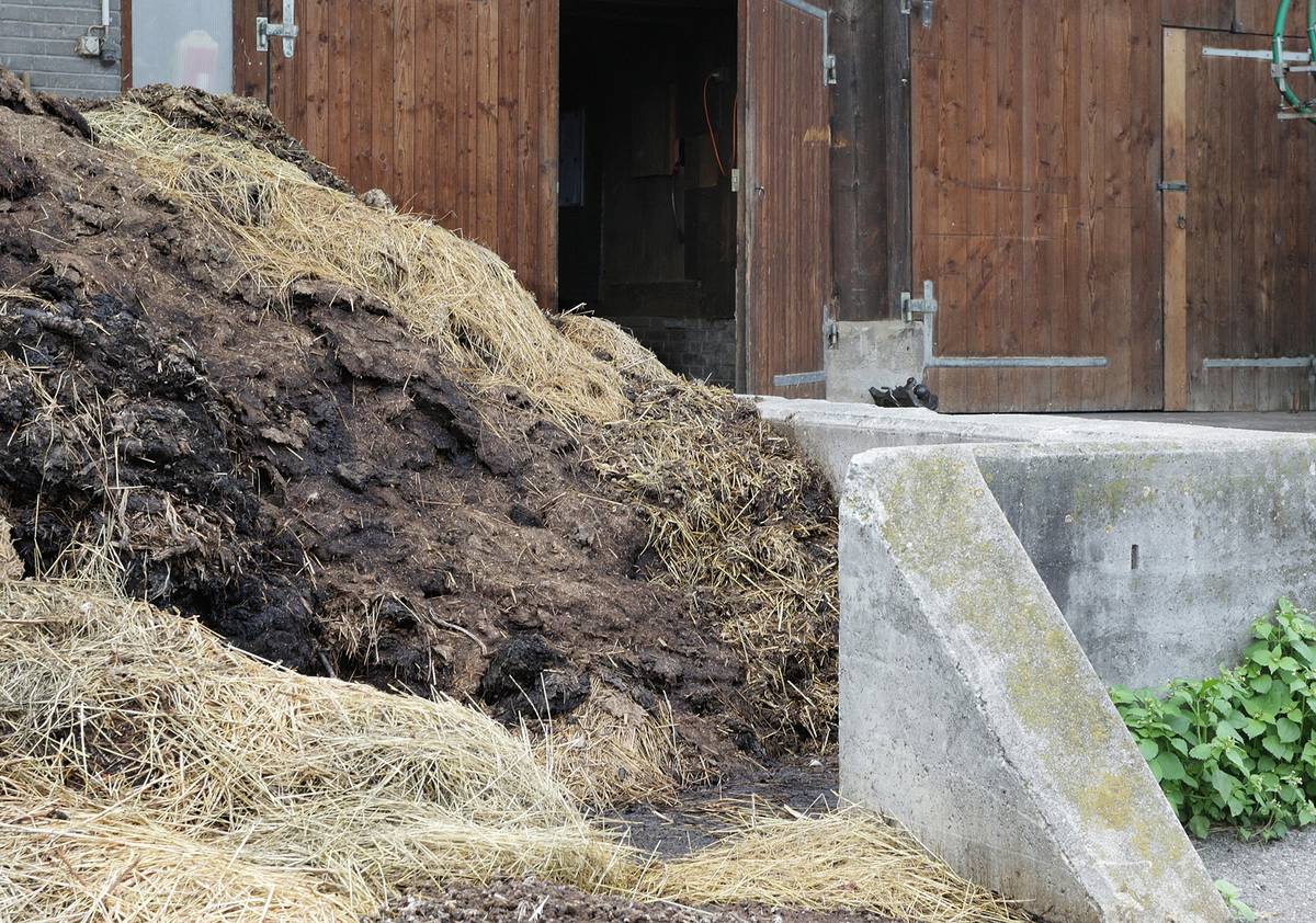 Lokalinfo AG: Wie sich die Schweizer Landwirtschaft weiterentwickelt
